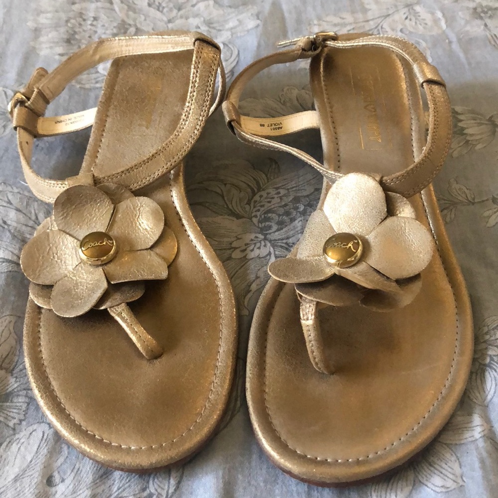 Coach sandals